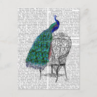 Peacock sobre la silla