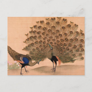Postal Peacock vintage