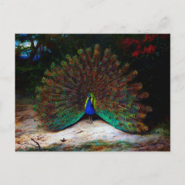 Postal Peacock y mariposa de pavo real