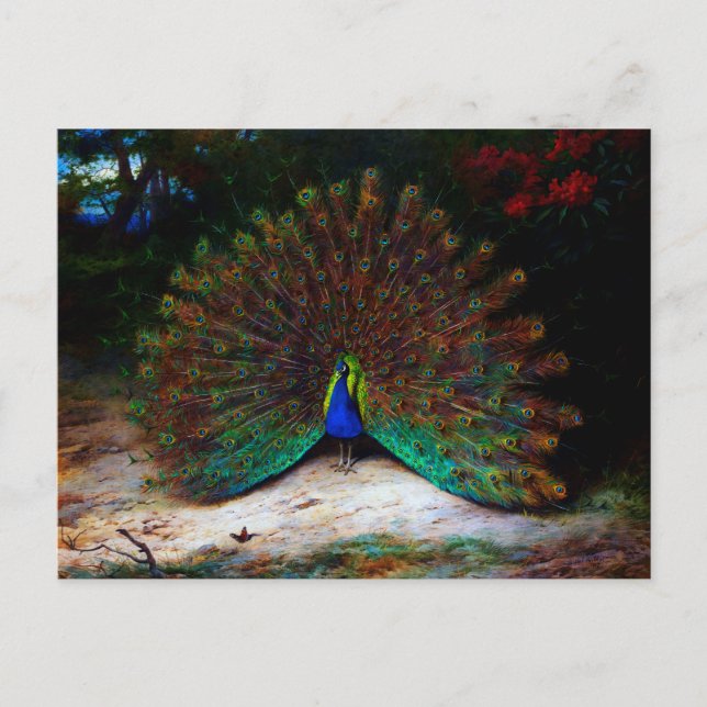 Postal Peacock y mariposa de pavo real (Anverso)