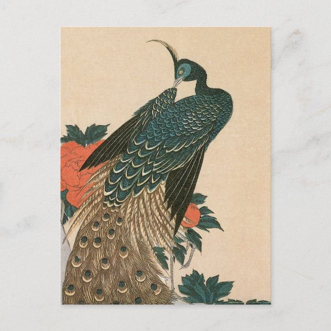 Postal Peacock y peonías de Hiroshige, arte japonés (Anverso)