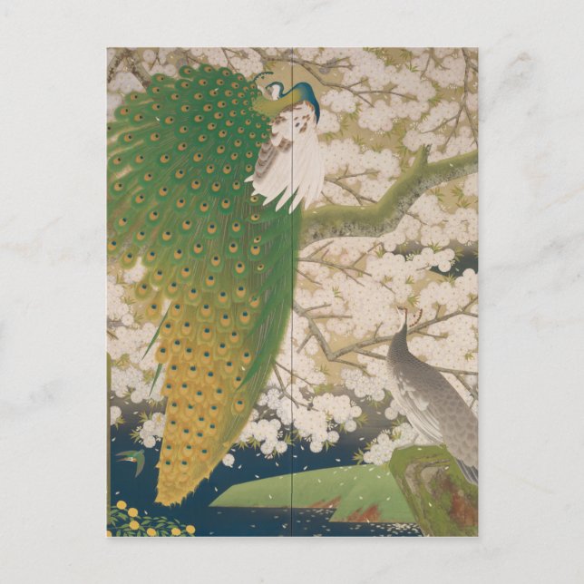 Postal Peacocks and Cherry Tree (1925) (Anverso)