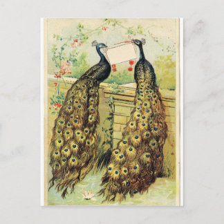 Postal Peacocks vintage