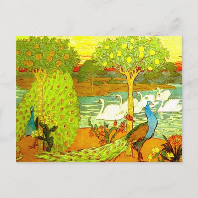 Postal Peacocks y cisnes de estilo Art Nouveau (Anverso)