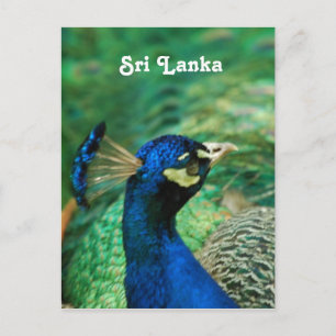 Postal Peafowl de Sri Lanka