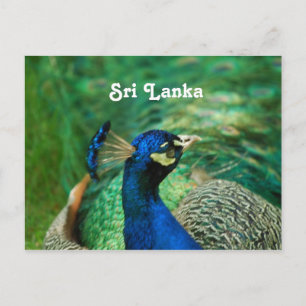 Postal Peafowl de Sri Lanka