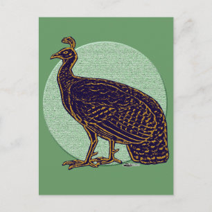 Postal Peafowl: Impresionante Congo Hen