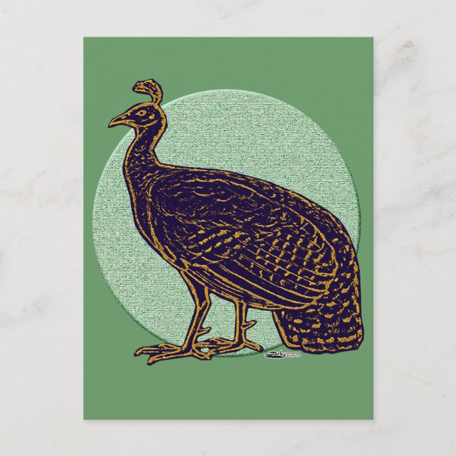 Postal Peafowl: Impresionante Congo Hen (Anverso)
