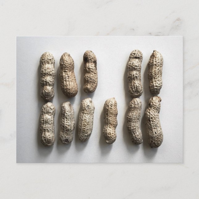 Postal Peanuts Still Life Bella Artes Photograph (Anverso)