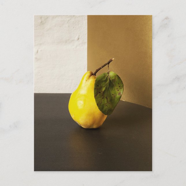 Postal Pear Still Life (Anverso)