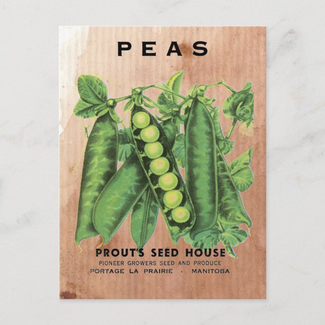 Postal Peas Seed Packet (Anverso)