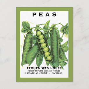 Postal Peas Seed Packet