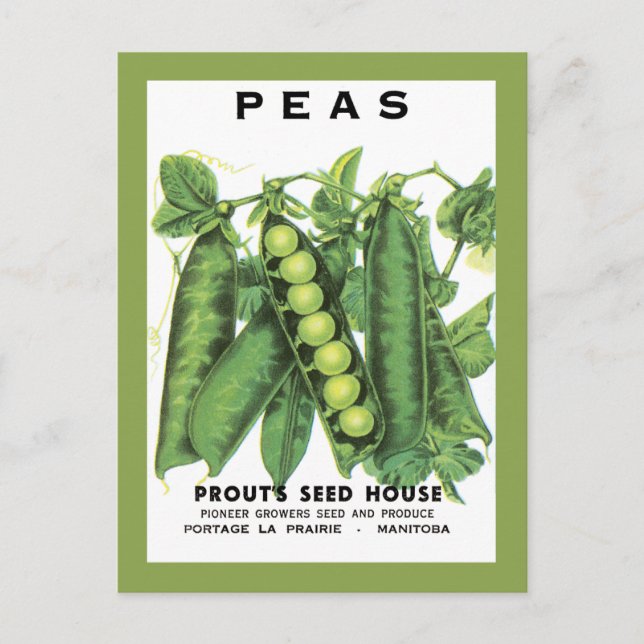 Postal Peas Seed Packet (Anverso)