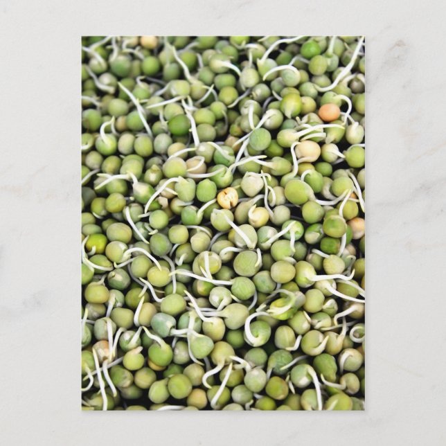 Postal Peas Sprouts (Anverso)