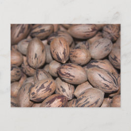 Postal Pecan Postcard
