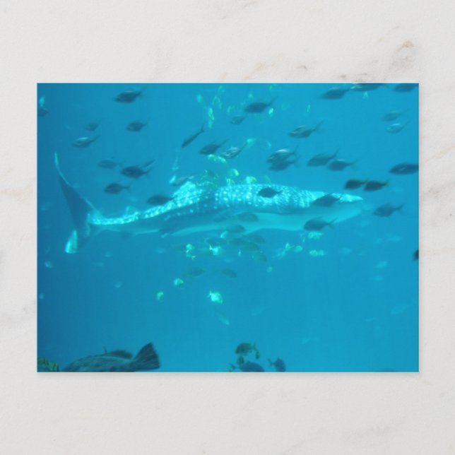 Postal Peces (Anverso)