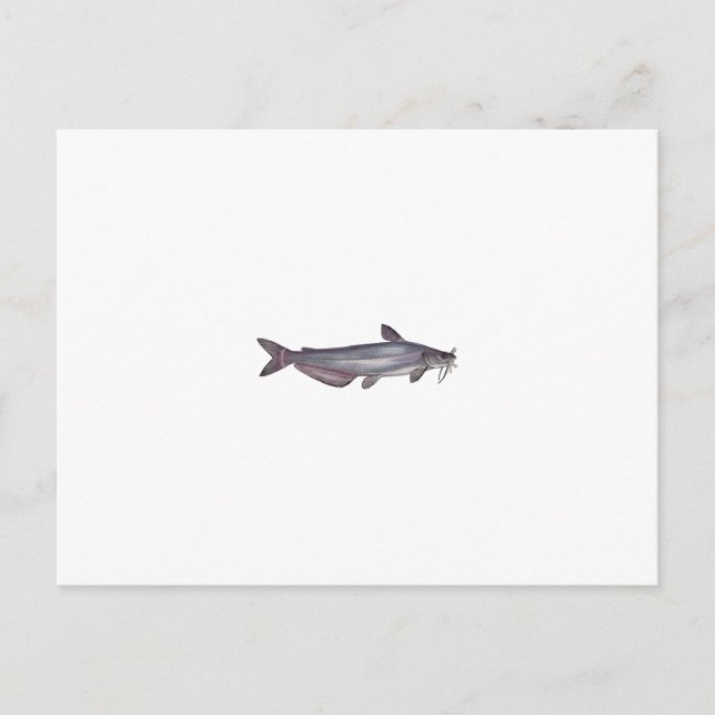 Postal Peces azules (sin título) (Anverso)