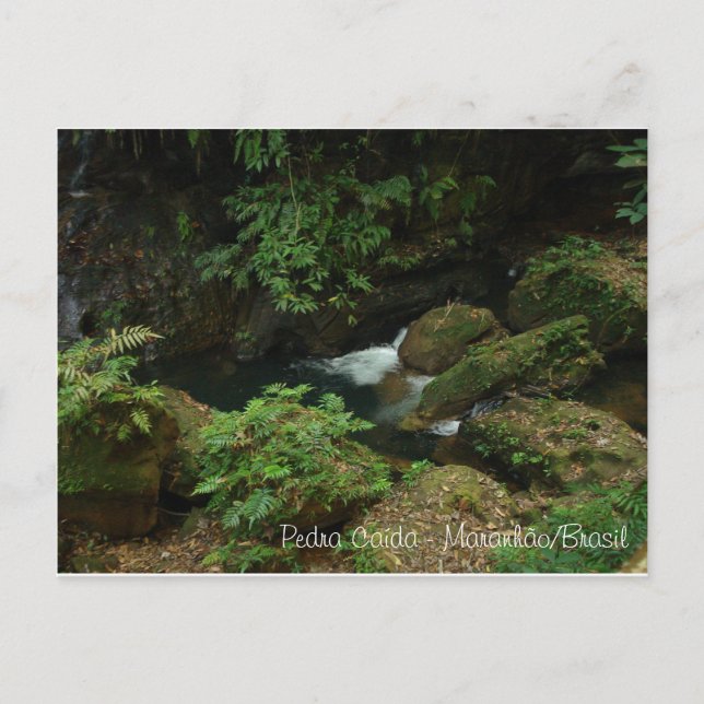 Postal Pedra Caída - Carolina/MAMÁES (Anverso)