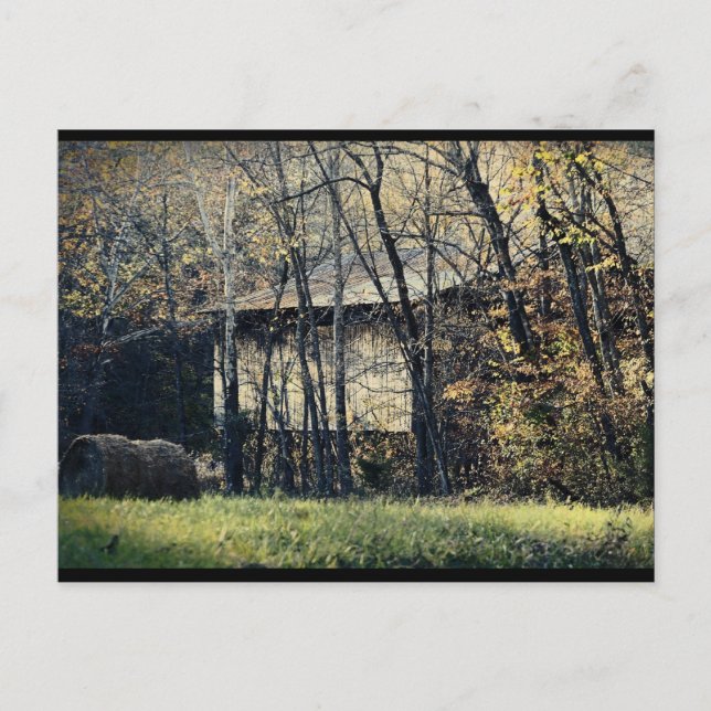 Postal Peek-a-Boo Barn (Anverso)