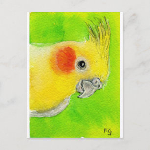 Postal Peek-a-boo Cockatiel