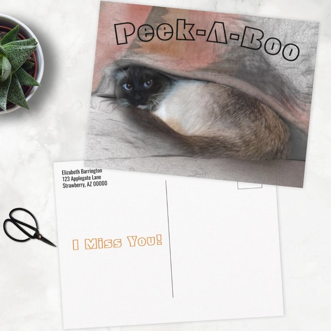 Postal Peek-A-Boo Te Extraño Siamese Kitten Bajo Una Masa (Subido por el creador)