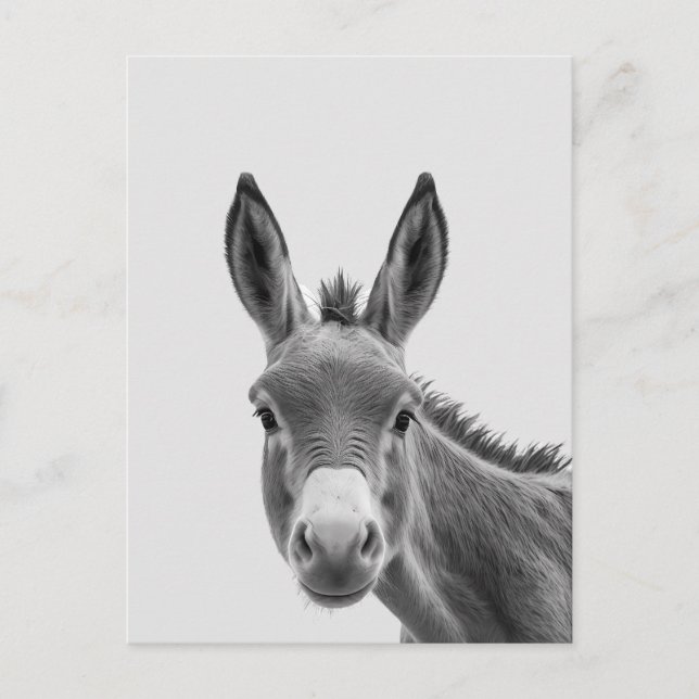Postal Peeking Sneaky Donkey Cute (Anverso)