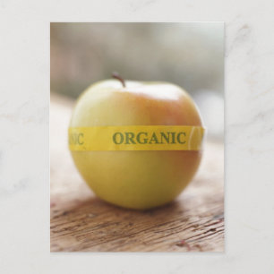 Postal Pegatina orgánico sobre manzana