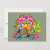 Pekin Robins: el amor de Leiothrix nunca falla