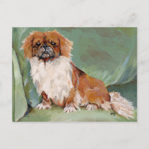 Postal Pekinés