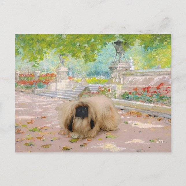 Postal Pekinés Miel en Entorno Floral (Anverso)