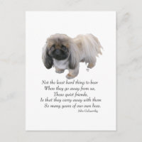 Pekinés Puente del Arcoíris
