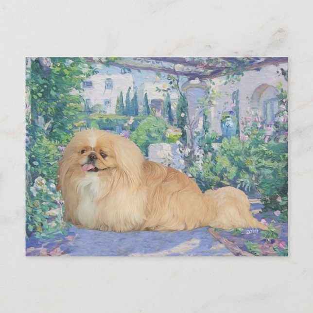Postal Pekingés en lavanda (Anverso)
