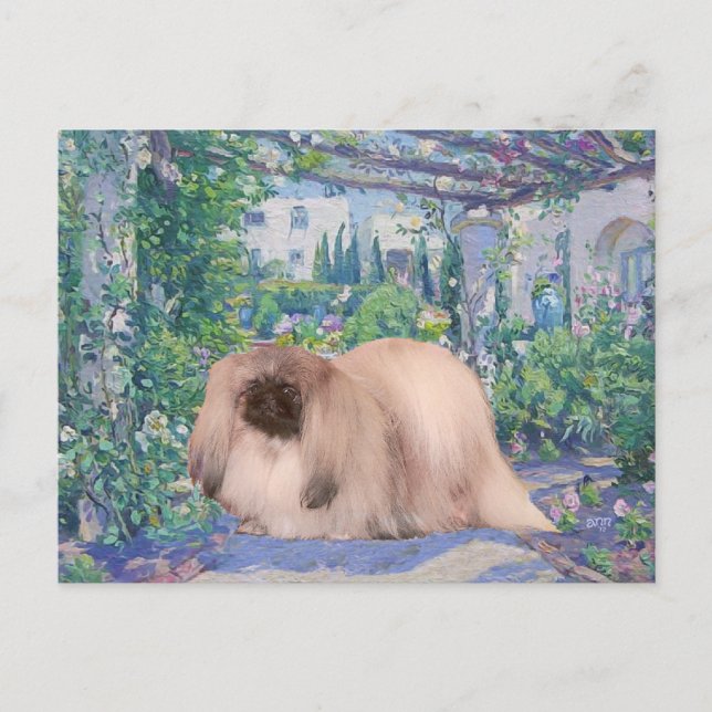 Postal Pekingese en jardín de flores (Anverso)