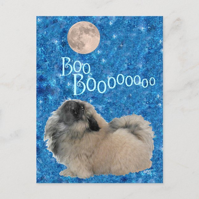 Postal Pekingese Halloween (Anverso)