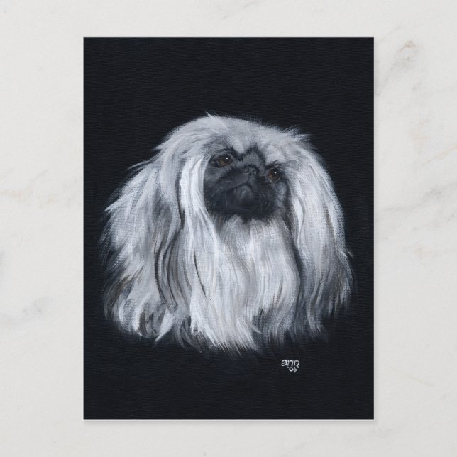 Postal Pekingese Negro y Blanco (Anverso)