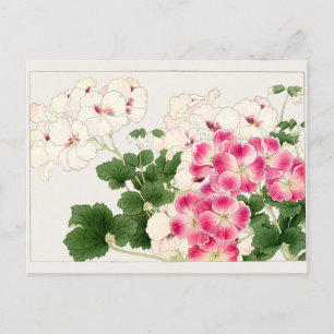 Postal Pelargonium de Tanigami Konan