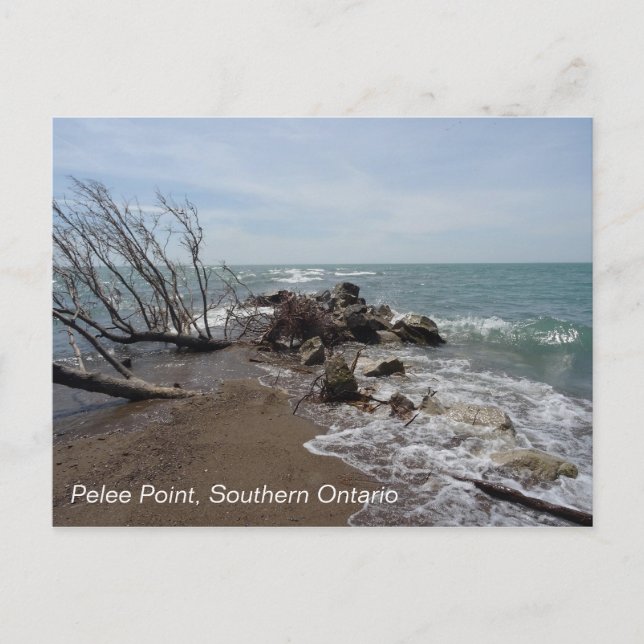 Postal Pelee Point, Ontario Meridional (Anverso)