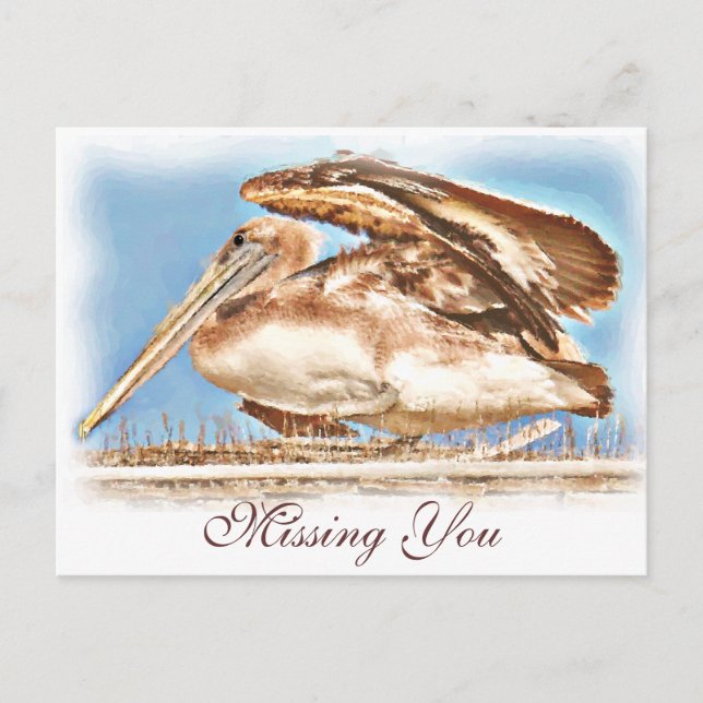 Postal Pelican Awaits_ (Anverso)