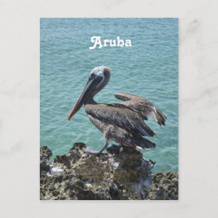 Postal Pelican de Aruba