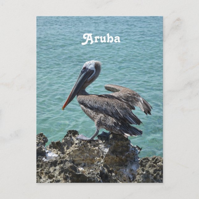 Postal Pelican de Aruba (Anverso)