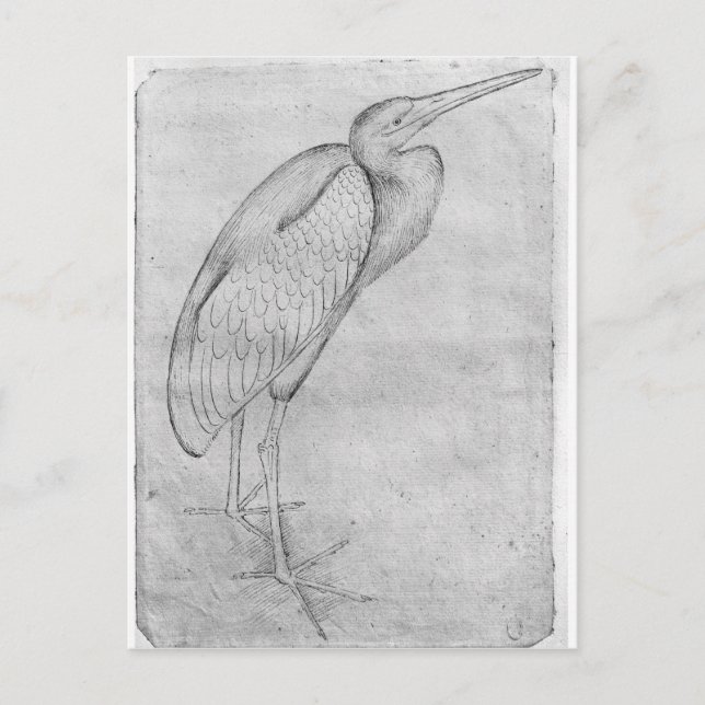Postal Pelican, del álbum The Vallardi (Anverso)