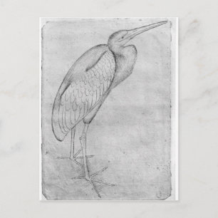 Postal Pelican, del álbum The Vallardi