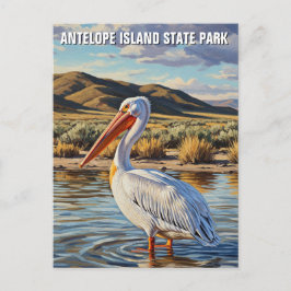 Postal Pelican en Antelope Island State Park Utah