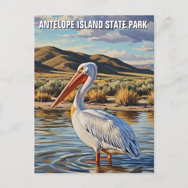 Postal Pelican en Antelope Island State Park Utah (Anverso)