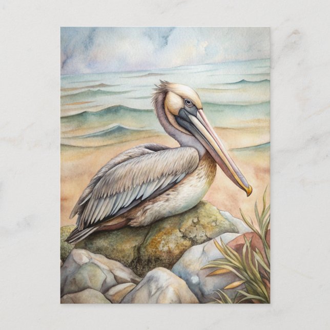 Postal Pelican en la playa (Anverso)