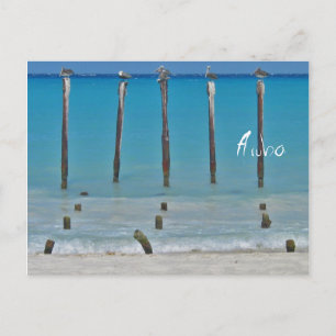 Postal Pelican postale a Aruba