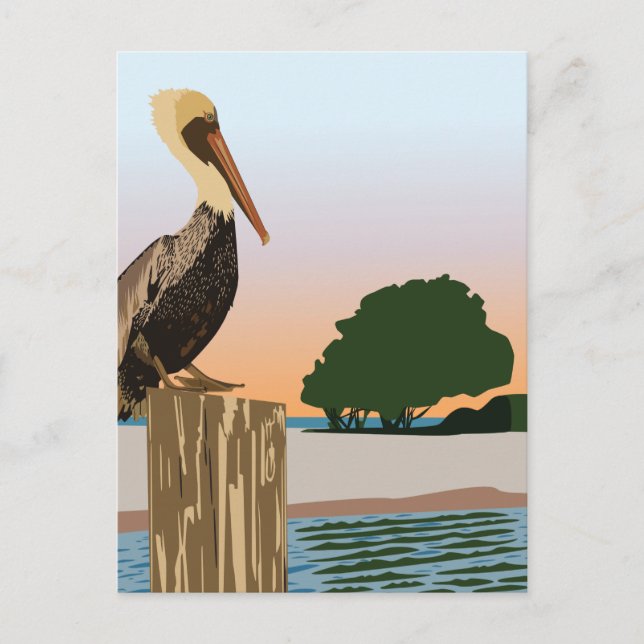 Postal Pelícano (Anverso)