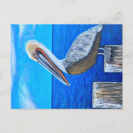 Postal Pelícano