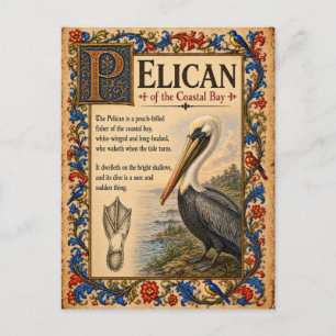 Postal Pelícano, Arte de Bestiario Medieval