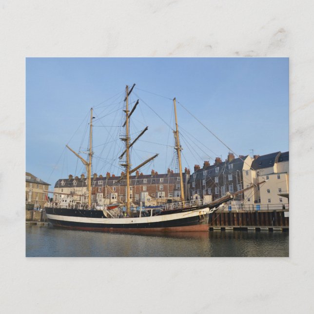 Postal Pelícano De Londres (Anverso)